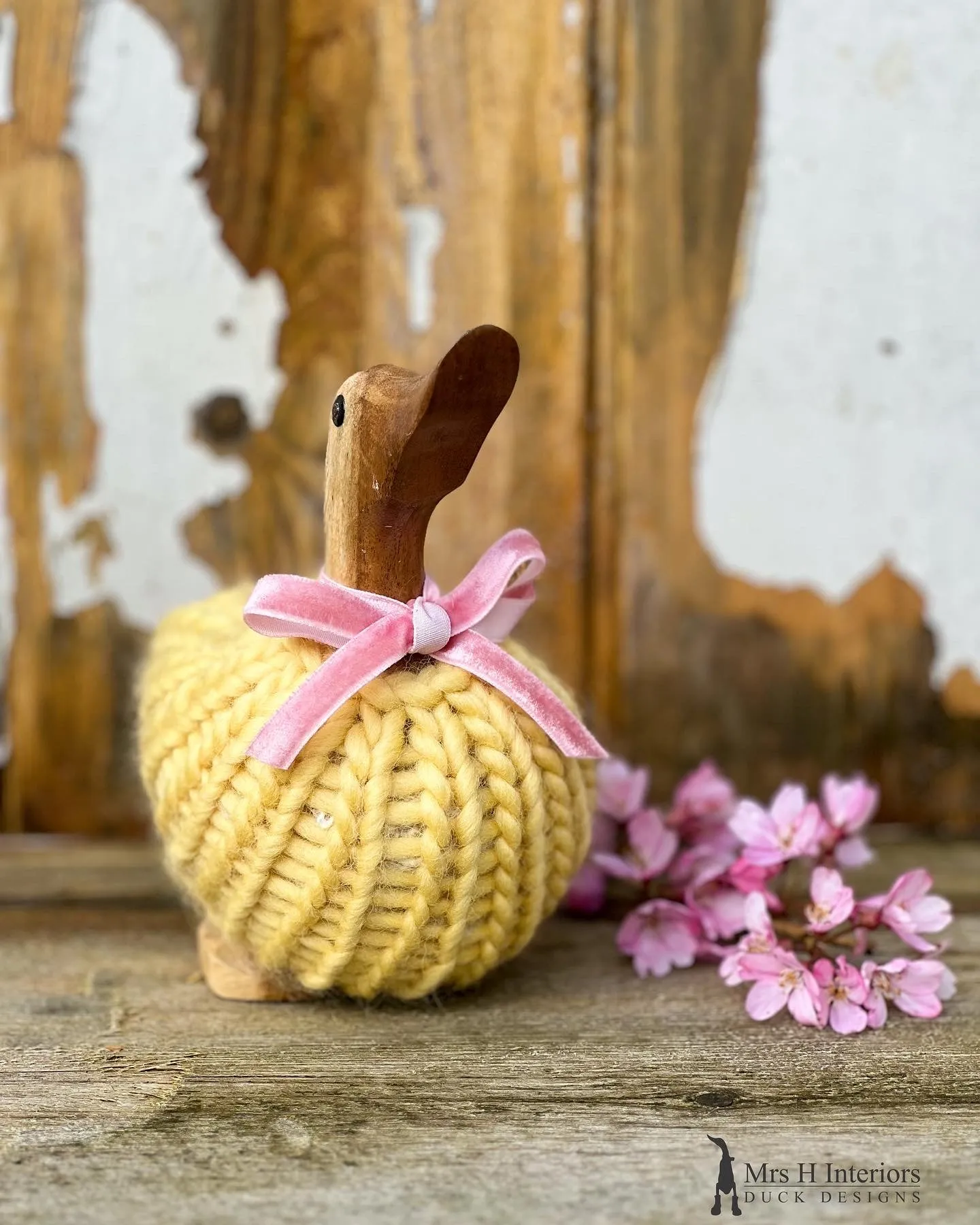 Blossom, the fluffy jumper wearing duck by Mrs H the duck lady.