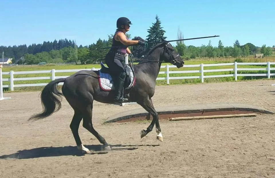 Custom Eclectic Prints Saddle Pad