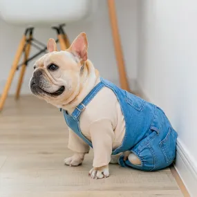 Doggy Denim Frenchie Overalls