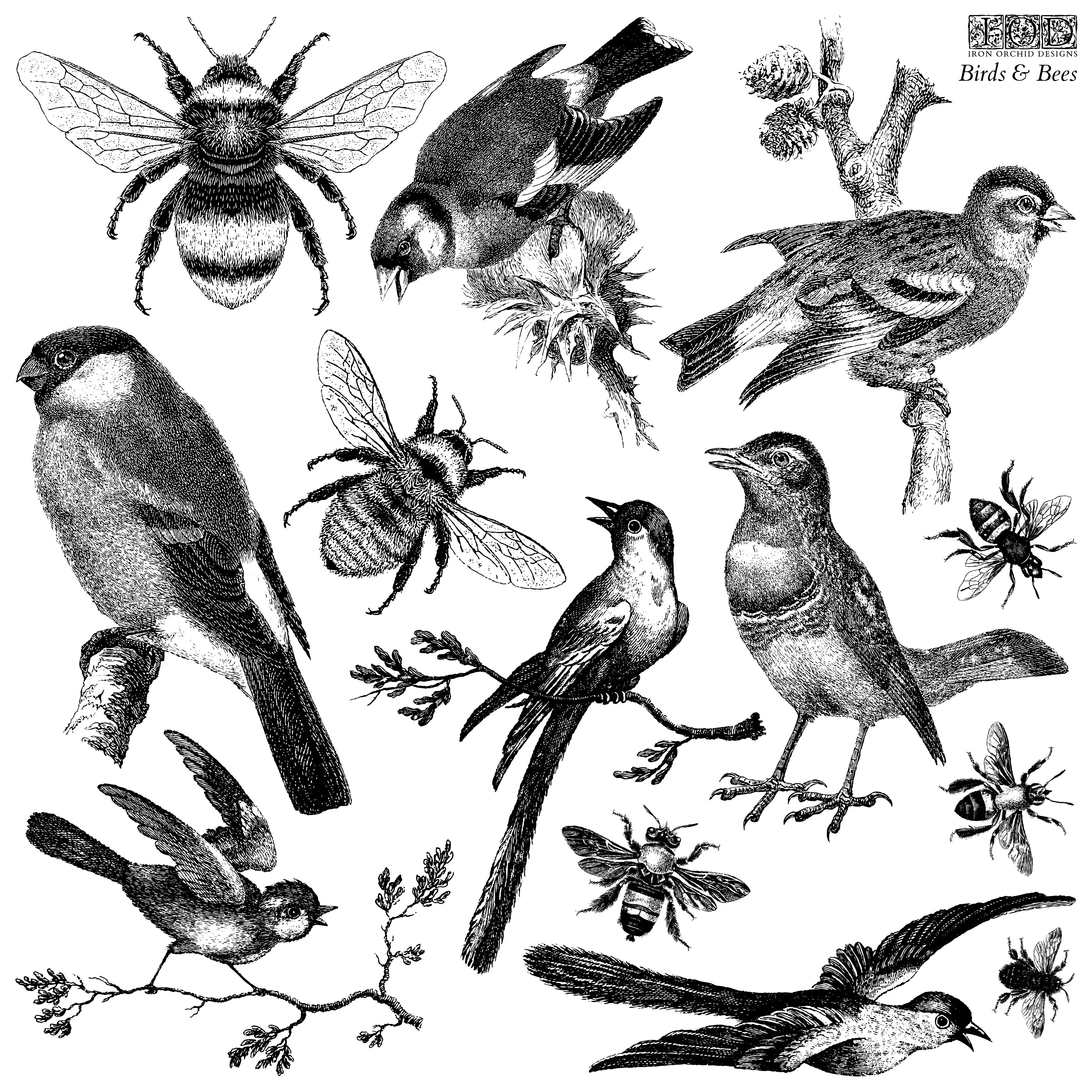 Iron Orchid Designs Birds & Bees | IOD Stamp