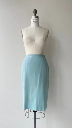 Robin's Egg 1950s Skirt